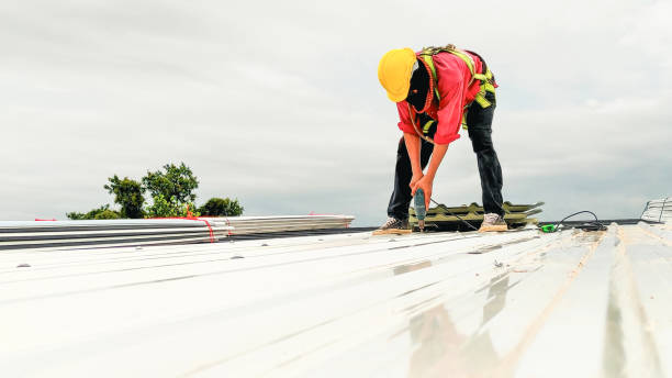 Best Roof Maintenance and Cleaning  in Carthage, NY